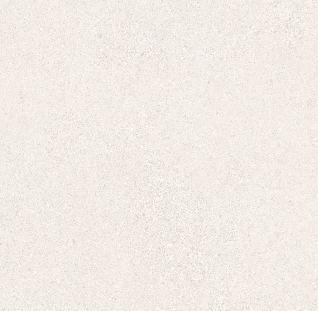NP60011 Tile 2